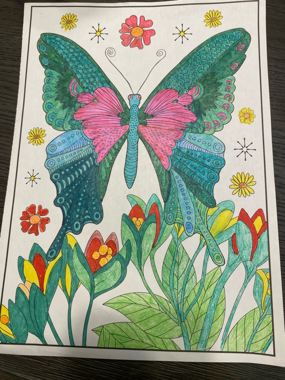Hand-Colored Butterfly Art Print - Pink & Teal